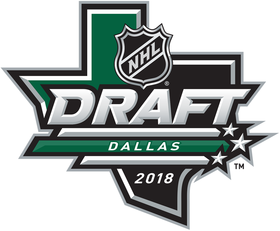 NHL Draft 2018 Primary Logo iron on heat transfer